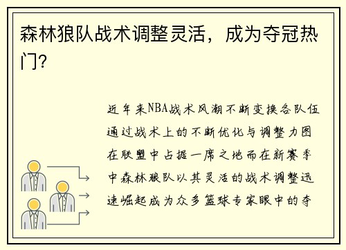 森林狼队战术调整灵活，成为夺冠热门？