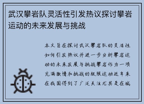 武汉攀岩队灵活性引发热议探讨攀岩运动的未来发展与挑战